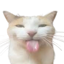 CatBot V2.0
