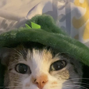 LeagueHelper